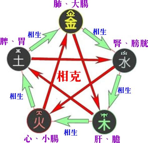 醫療 五行 屬性|【醫療行業五行】揭曉醫療行業五行屬性！五行能量如何影響你的。